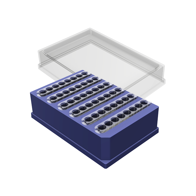Image - Lids